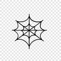 Spider, Web, Spiders, Creepy icon svg