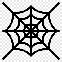 Spinne, Web, Spinnenweben, Web Site symbol