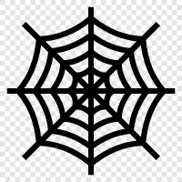 Spider, Web, Spiderman, Spiderman Eve Dönüş ikon svg