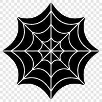 Spider, Web, Spiderman, Webs icon svg