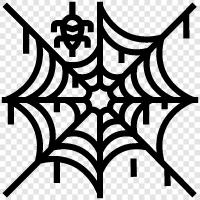 Spider, Web, Spiderman, Spiders icon svg