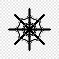 Spider, Web, Spiders, Arachnids icon svg