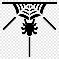 Spider, Web, Spiders, Building icon svg