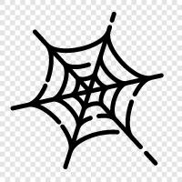 Spider, Web, Spiderman, SpiderMan icon svg