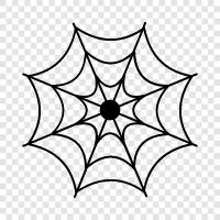 Spinne, Web, Zäune, Spinnenzäune symbol