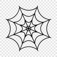 Spinnen, Web, Arachnophobie, Gruselig symbol