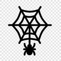 Spider, Web, Spiderwebs, Webbing ikon svg