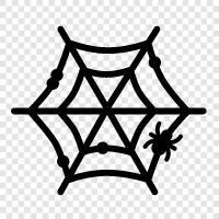 Örümcek, web, örümcekler, arachnophobia ikon svg