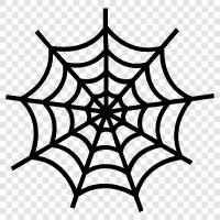 spider, web, spiderwebs, spider webbing icon svg