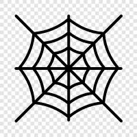 Spider, Web, Spider Man, Spider Woman icon svg