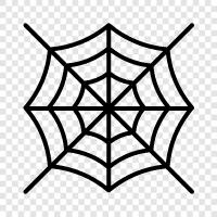 spider, spiderweb design, spiderweb software, spiderweb templates icon svg