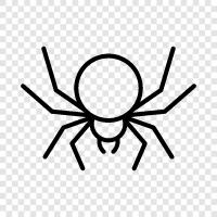 Spider Man, SpiderMan, SpiderWoman, SpiderMan 20 icon svg