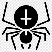 spiderman, spider woman, spiderman 3, Spider icon svg