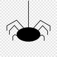 spider man, spiderman, spiderwoman, spidergirl icon svg