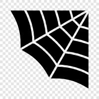 spider, spider web, spider silk, orb weaver icon svg