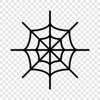 spider, spider webs, spider silk, spider silk production icon svg