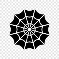 Spinne, Netz, Spinne Seide, Spinnennetze symbol