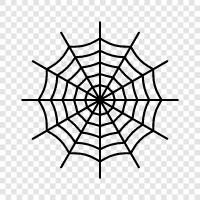 spider, spider webs, spider making, spider spinning icon svg