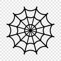 spider, web, create, spinning icon svg