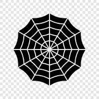 spider, spider webs, spider web, spider silk icon svg