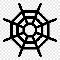 Spinnennetz, Spinnen, Webs, Arachniden symbol