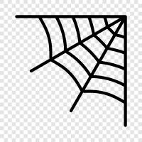 spider silks, spider thread, spider webbing, spider web construction icon svg