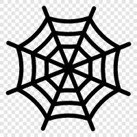 spider web, spider plant, spider hunting, spider behavior icon svg