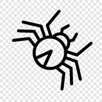 spider web, web, spiderman, superhero icon svg