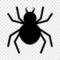 örümcek ağı, örümcek adam, arachnophobia, venom ikon svg