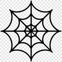 Spider Webs, Web Spiders, Web Building, Spider Construction icon svg