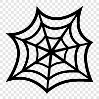 Spider Webs, Spider Crawl, Spider Web Building, Spider Trap icon svg