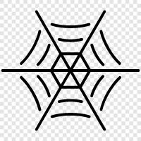 Spinnennetze, Spinnenweben, Spinnennetz, Spinnenseide symbol