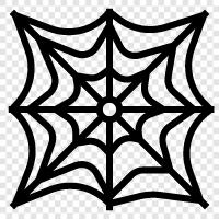 Spider Webs, Spider Netting, Spider Web Spiders, Spider Websites icon svg