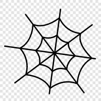 Spider Webs, Spider Net, Spider Line, Spider Network icon svg