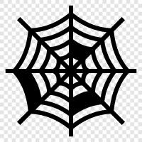 Örümcek Ağları, Örümcek Dokuma, Örümcek İnşaatı, Örümcek İpekleri ikon svg