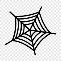 Spider Webs, Spider Webbing, Spider Web Construction, Spider Websites icon svg