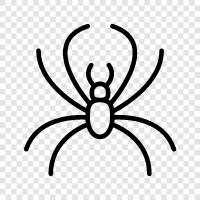 spiderman, spiderwoman, black widow, spiderman 2 icon svg