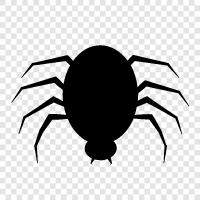 spiderman, spiderwoman, arachnophobia, fear icon svg