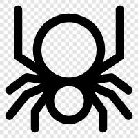 Spiderman, SpiderMan, SpiderWoman, SpiderGirl icon svg