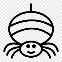 spiderman, spiderwoman, spiderpowers, spiderwebs icon svg