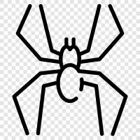 Spiderman, arachnophobia, spider bite, spiders in the house icon svg