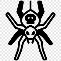 Spiderman, superhero, arachnid, venom icon svg