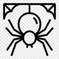 spiderman, spiderwoman, arachnids, eightlegs icon svg