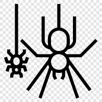 Spiderman, Spiderwoman, Spiderbaby, Spiderman costume icon svg