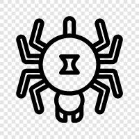 spiderman, spiderwoman, arachnophobia, spiderman 2 icon svg