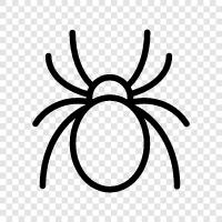 spiderman, spiderwoman, spiderman spiderwoman, spiderman costume icon svg