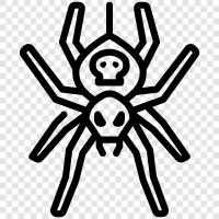 spiderman, spiderman, spiderwoman, spidergirl icon svg