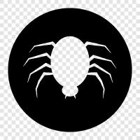 spiderman, arachnophobia, spider silk, spider bites icon svg