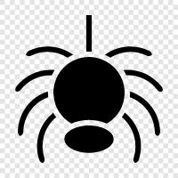 spiderman, arachnophobia, spiderwoman, Spider icon svg