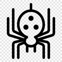 Spinnenmann, Arachenfeindlichkeit, Spinnenmännchen Kostüm, Spinnenmännchen Maske symbol